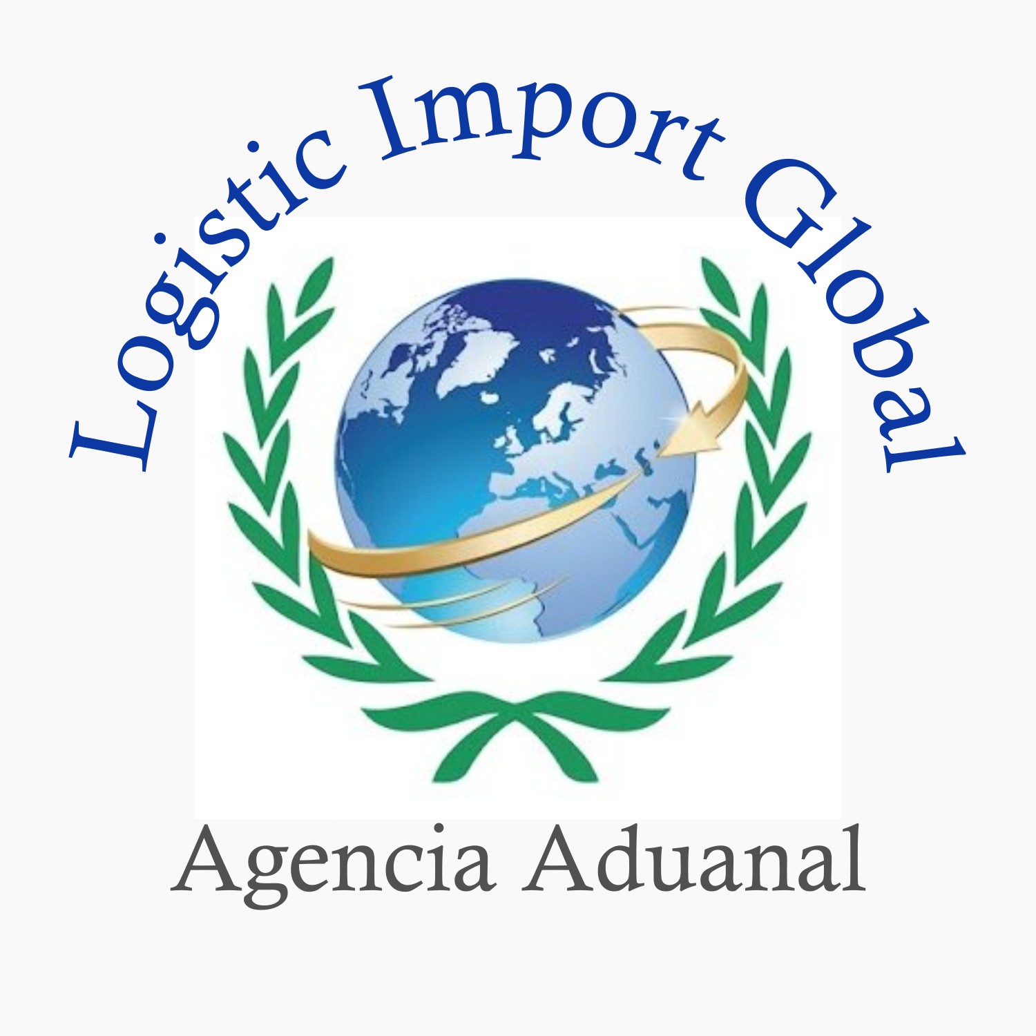 Logistic Import Global Logo